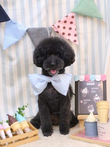 20250517ラブくん